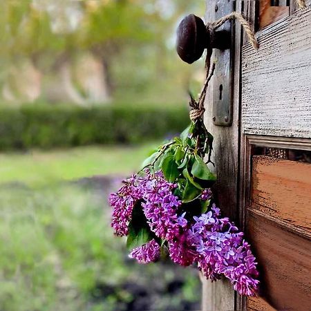Lillac Cottage Ancona Luaran gambar