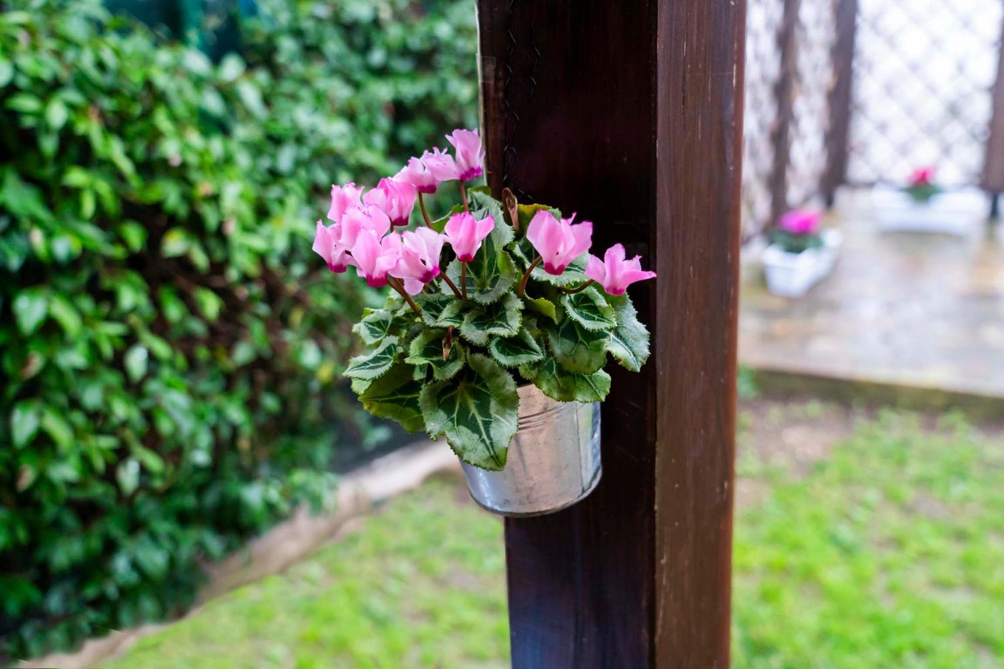 Lillac Cottage Ancona Luaran gambar