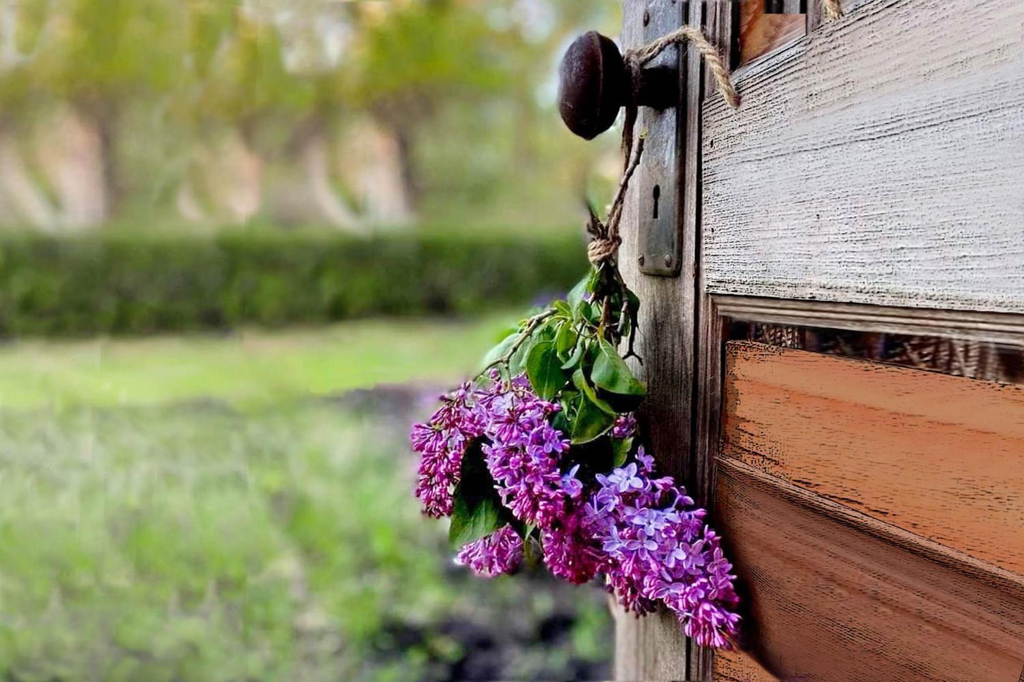Lillac Cottage Ancona Luaran gambar